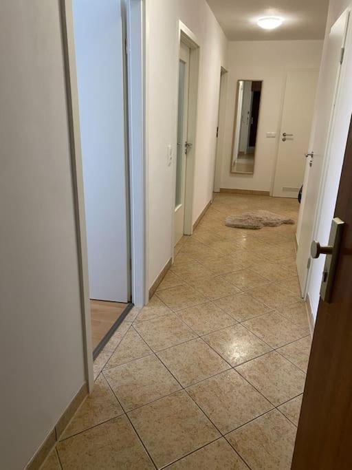 Augsburger Wohnung In Klinikum-Naehe 外观 照片